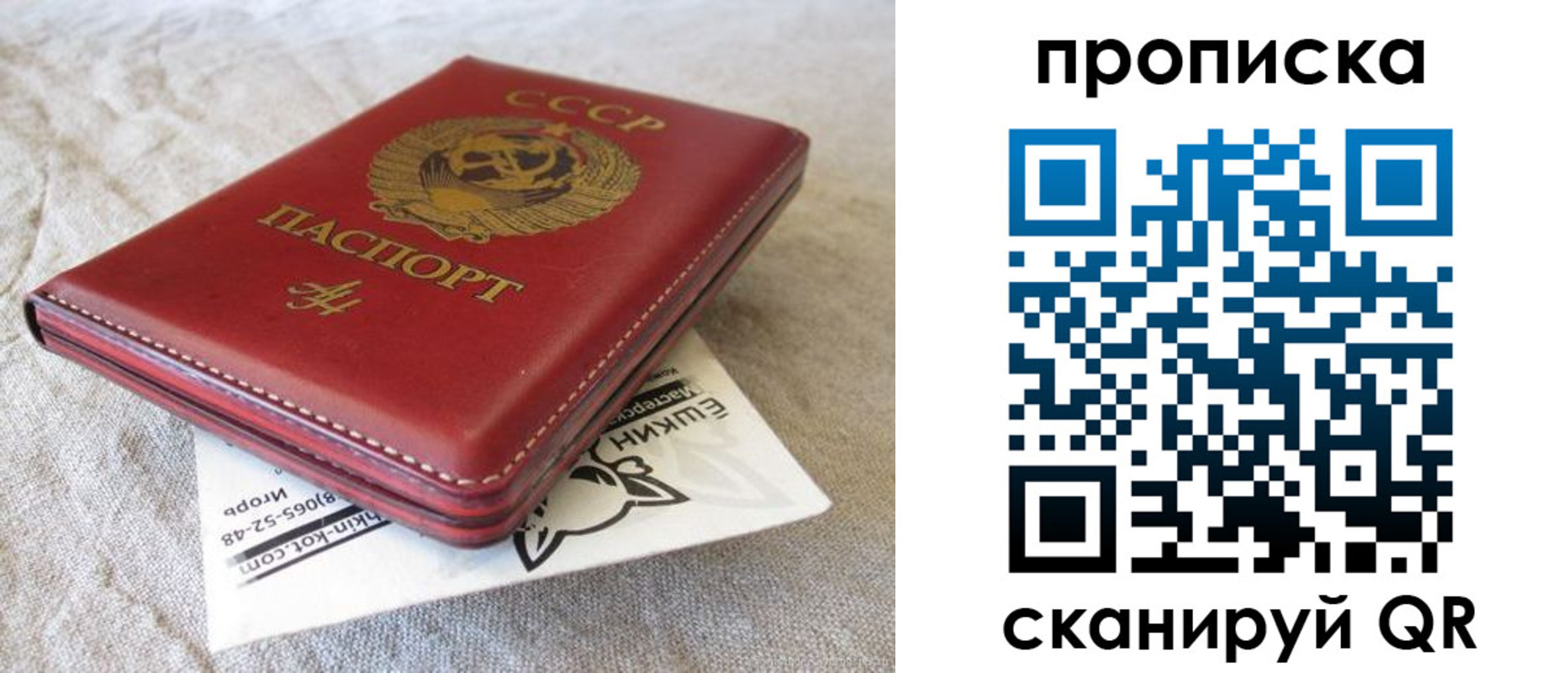 прописка для школы в Павлово
